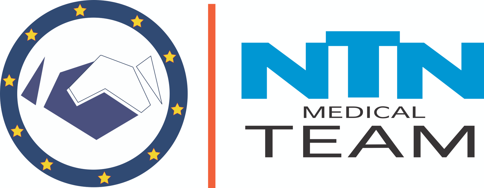 NTN Logo